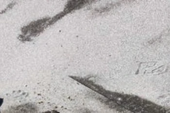 Weathering and granule loss on the existing modified-bitumen roof in Jackson