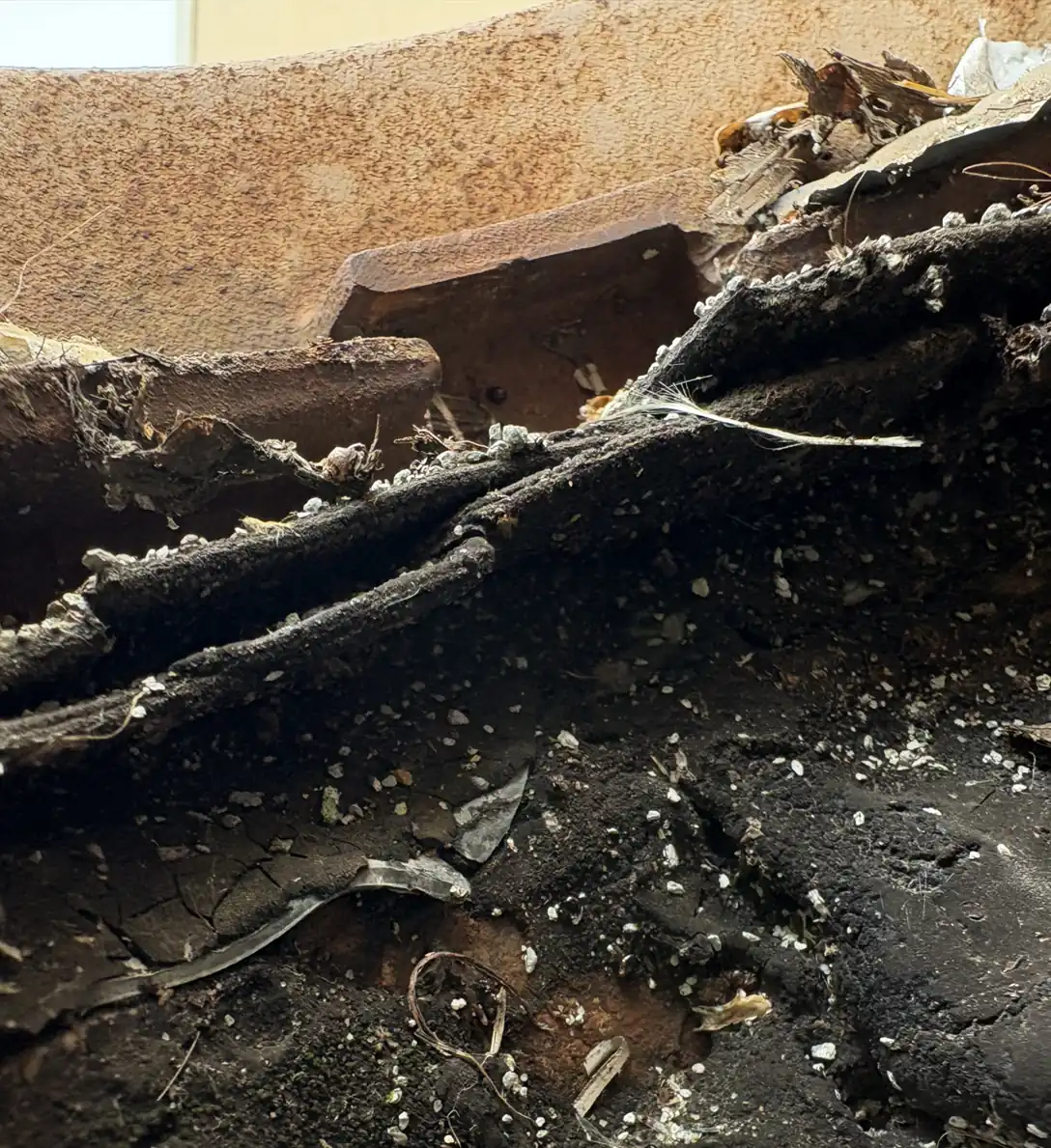 Wet insulation found under the roof around a drain